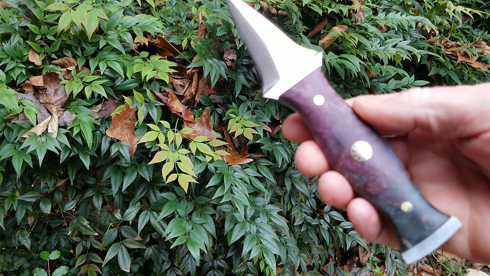 Thumbnail: Stingray oyster knife w/ maple burl.