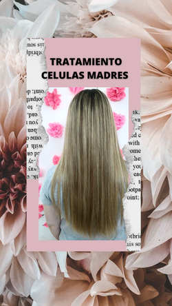 Tratamiento capilar celulas madres