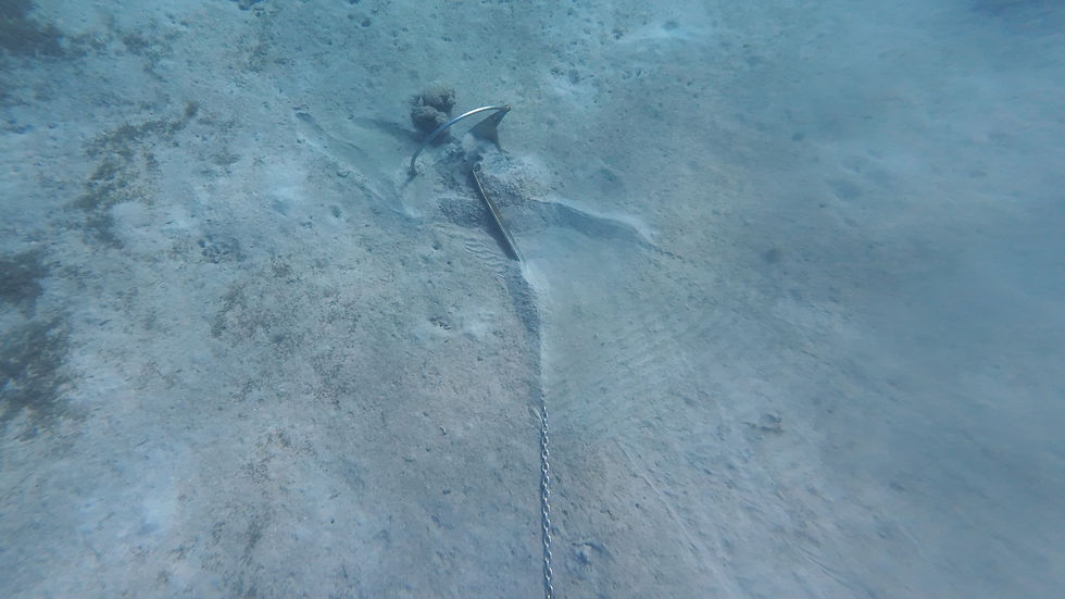 An anchor rests on the sandy ocean floor, partially buried, with a chain visible. The water is clear and blue, creating a serene mood.