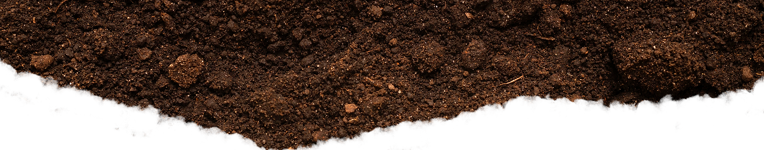 Soil-strip-2.png