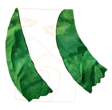 Window Threshold.png