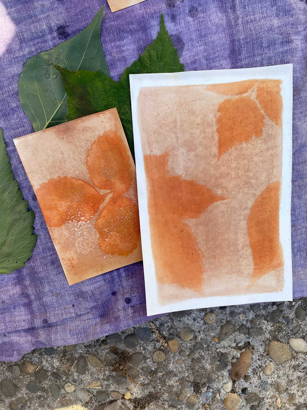 Cascadia Cauldron Spring Sessions: Sowing Seeds