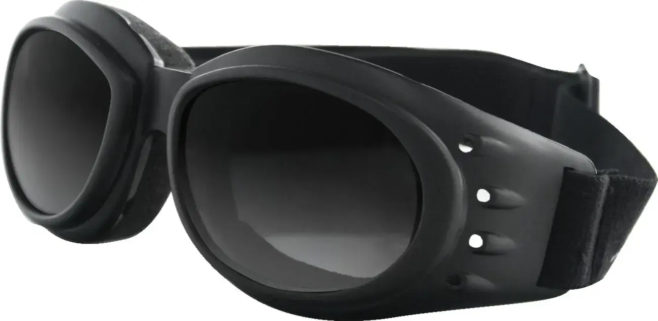 GOGGLES Cruiser II Goggle