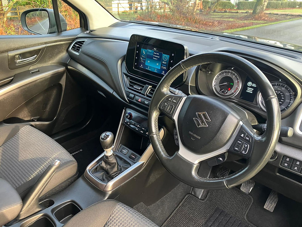 Miniatura: Suzuki S Cross Manual 2022