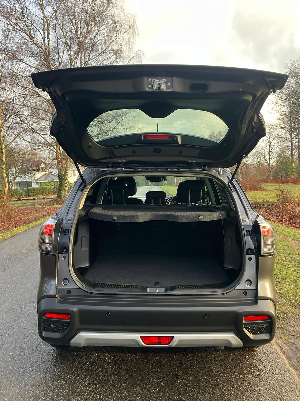 Miniatura: Suzuki S Cross Manual 2022