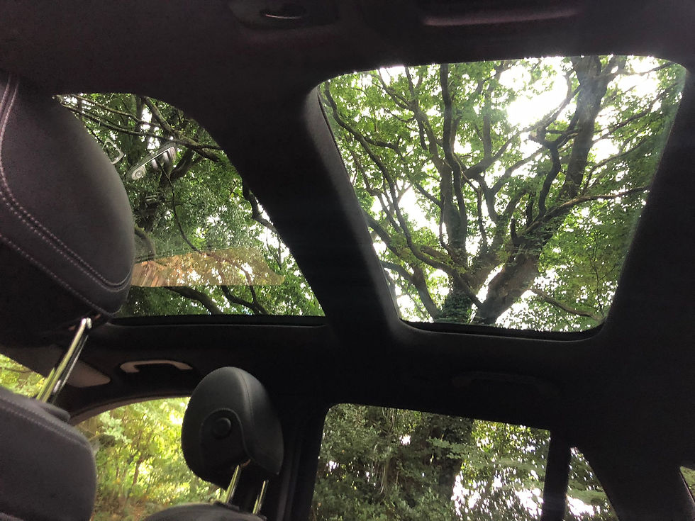 Miniatura: MERCEDES GLC 220D