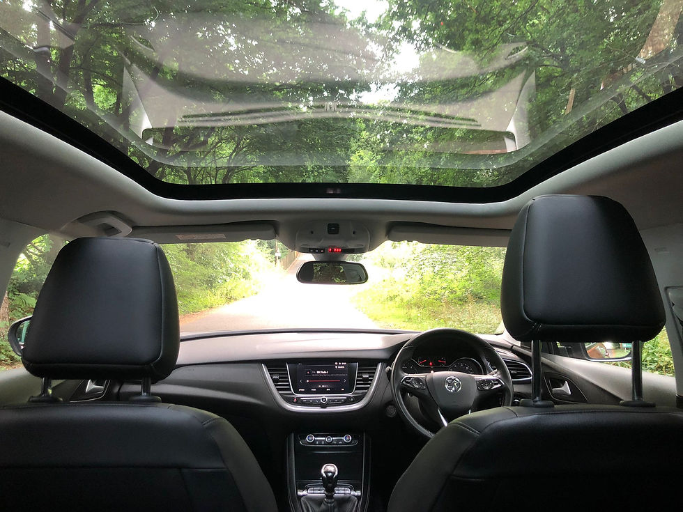 Miniatura: VAUXHALL GRANDLAND