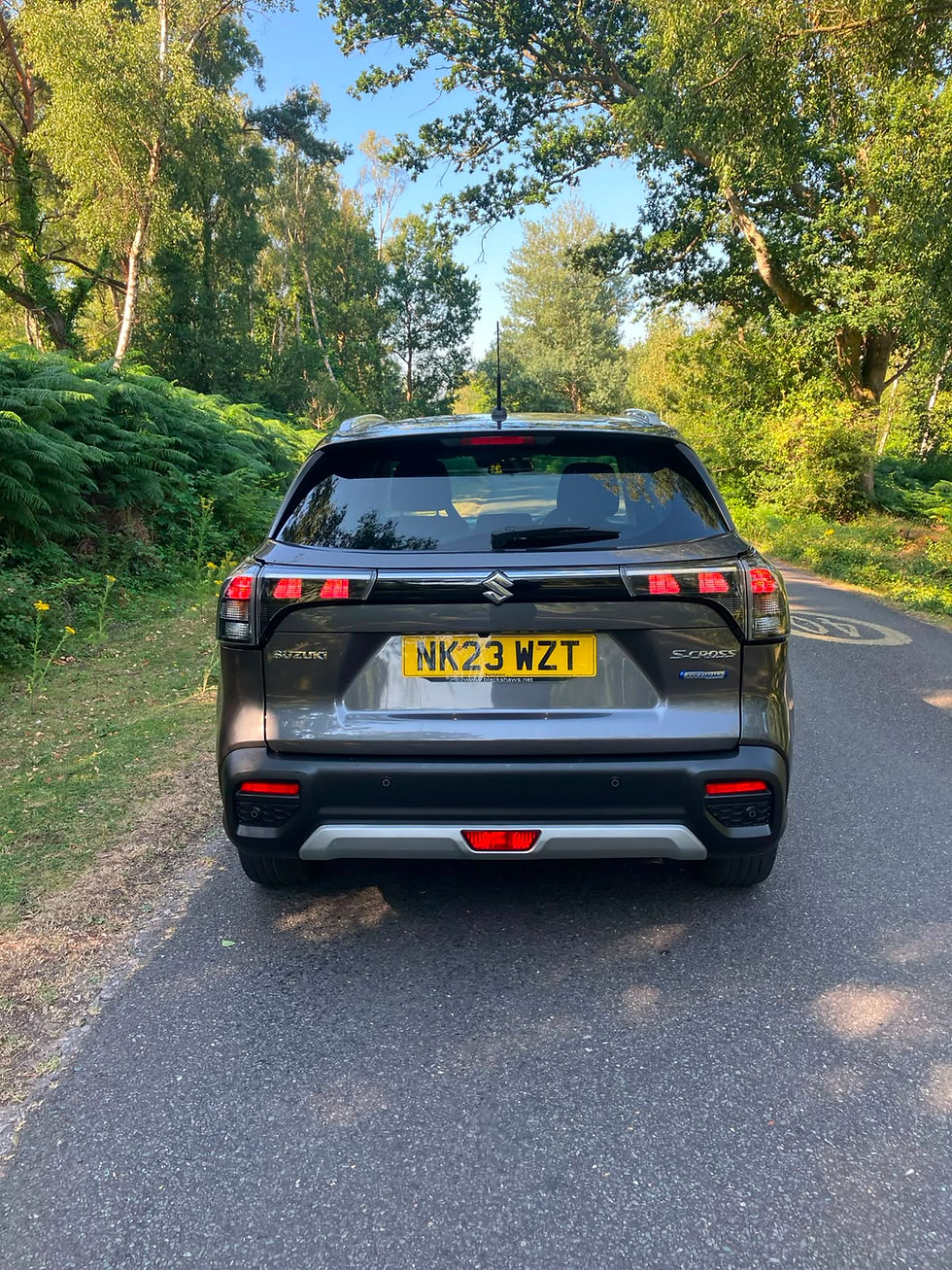 Miniatura: Suzuki S Cross Manual 2023