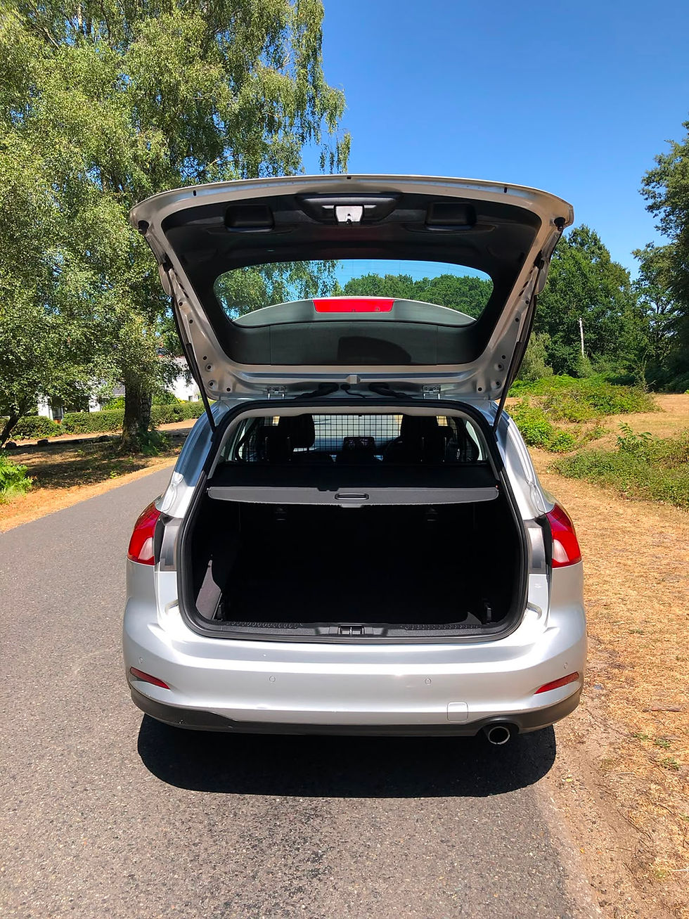 Miniatura: Ford Focus Manual 2021