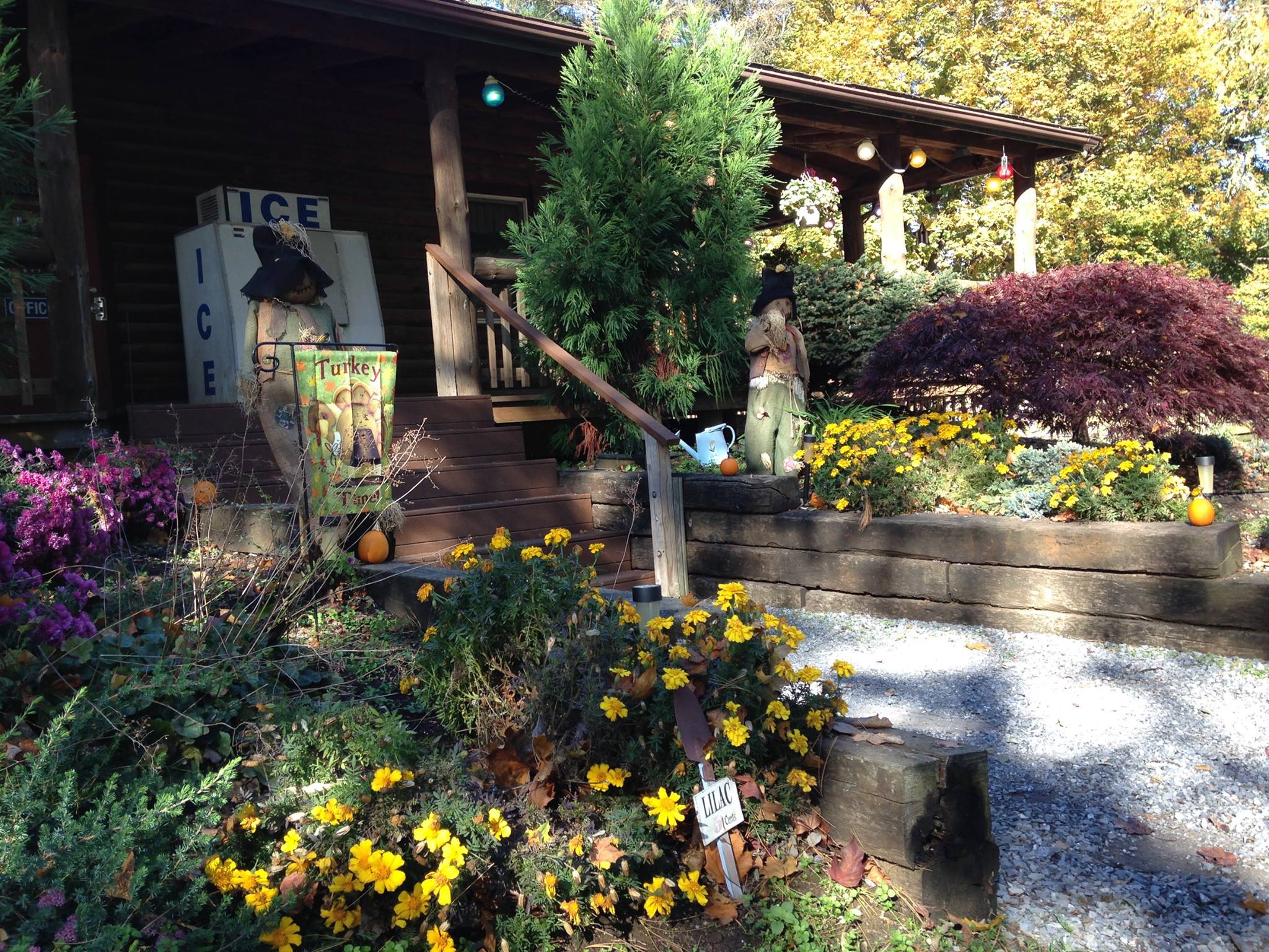 Roamers office entrance in the fall