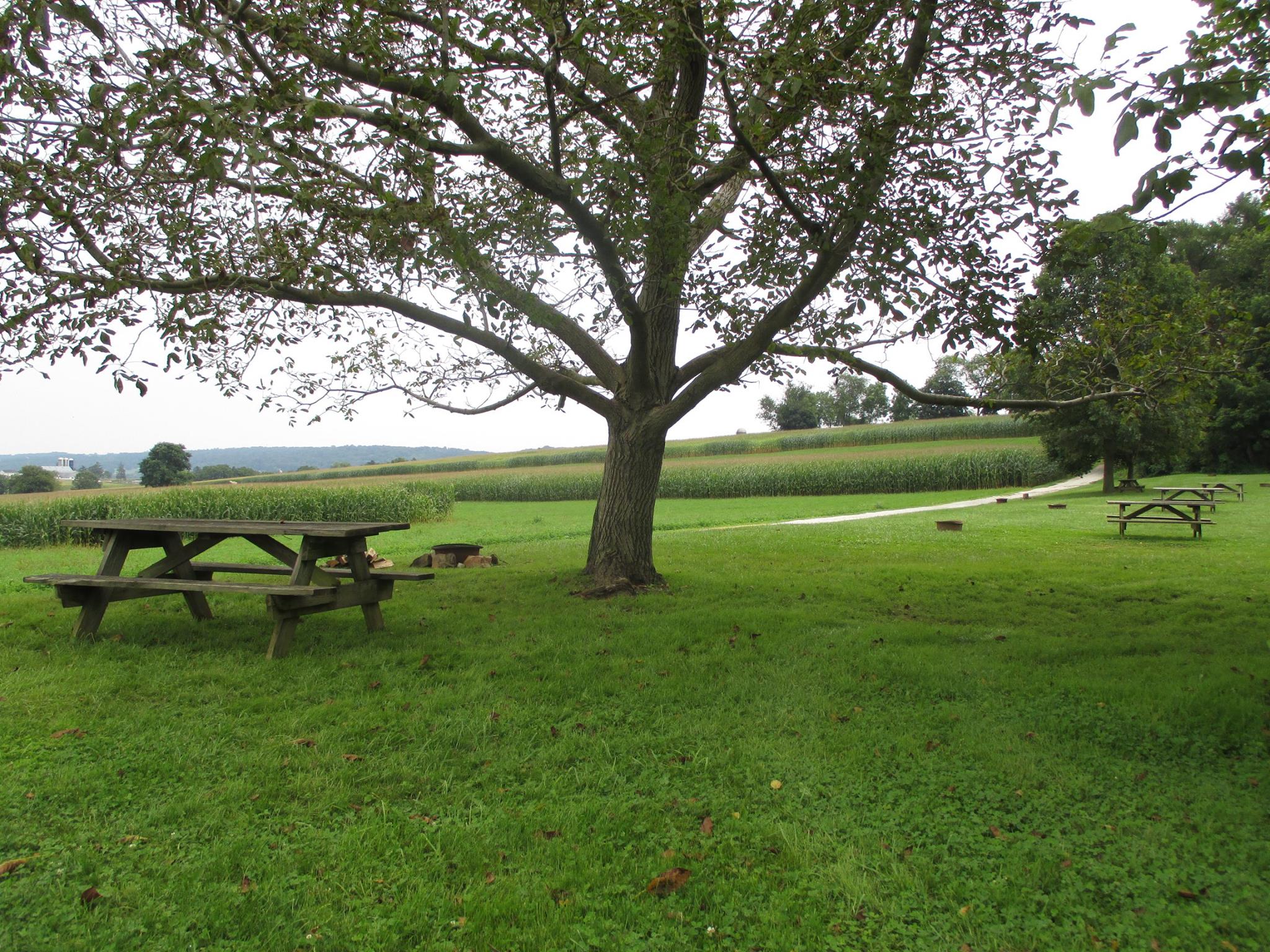 Sitting areas by Amish field