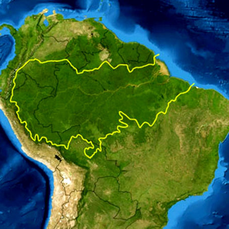 A Amazônia NÃO é o pulmão do mundo