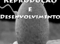 reproducao_edited.png