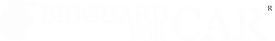 BIGGUARDFORCARWHITE.png