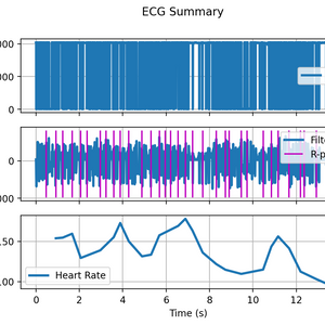 GettyImages-1190411433_edit 1.jpg