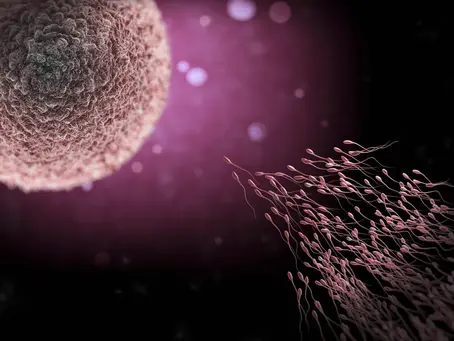 Fertilitet - det du selv kan gøre