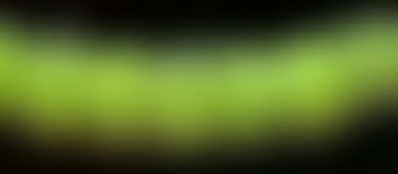 Pass the Peas Burgers