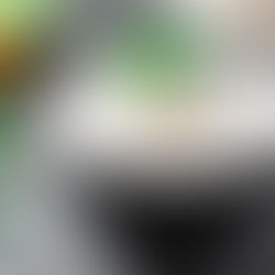 Connie's White Bean Hummus