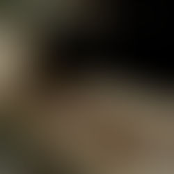 Plant Based Gingerbread Cookies