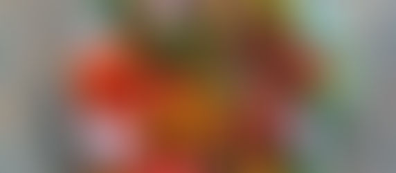 Betsy’s Tempeh Sausage