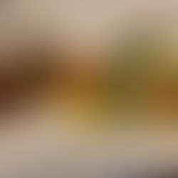 Plant Based Ginger Beef