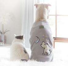dogs in robes