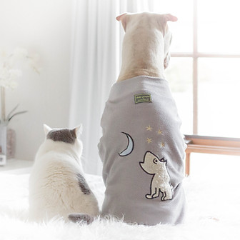 dogs in robes