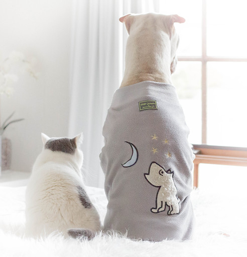 Pet Companions Resting