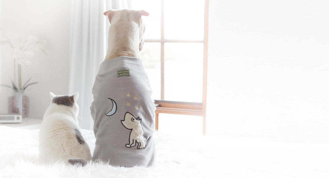 ローブで犬