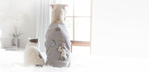 How Jaxy Cats Pet Services Keeps Pets Calm During the Holidays
