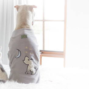 How to get your puppy to sleep through the night