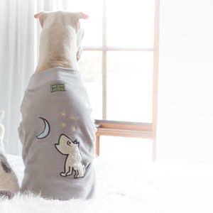 Furry Friends Fashion