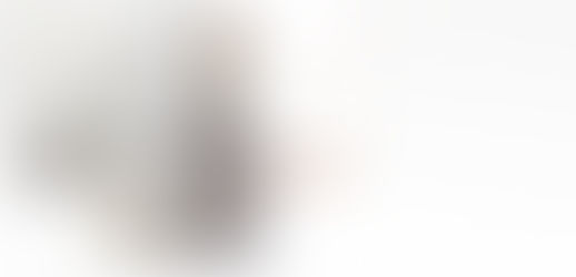 Artículo 4° Constitucional, nuevo parámetro en materia de protección y cuidado animal.