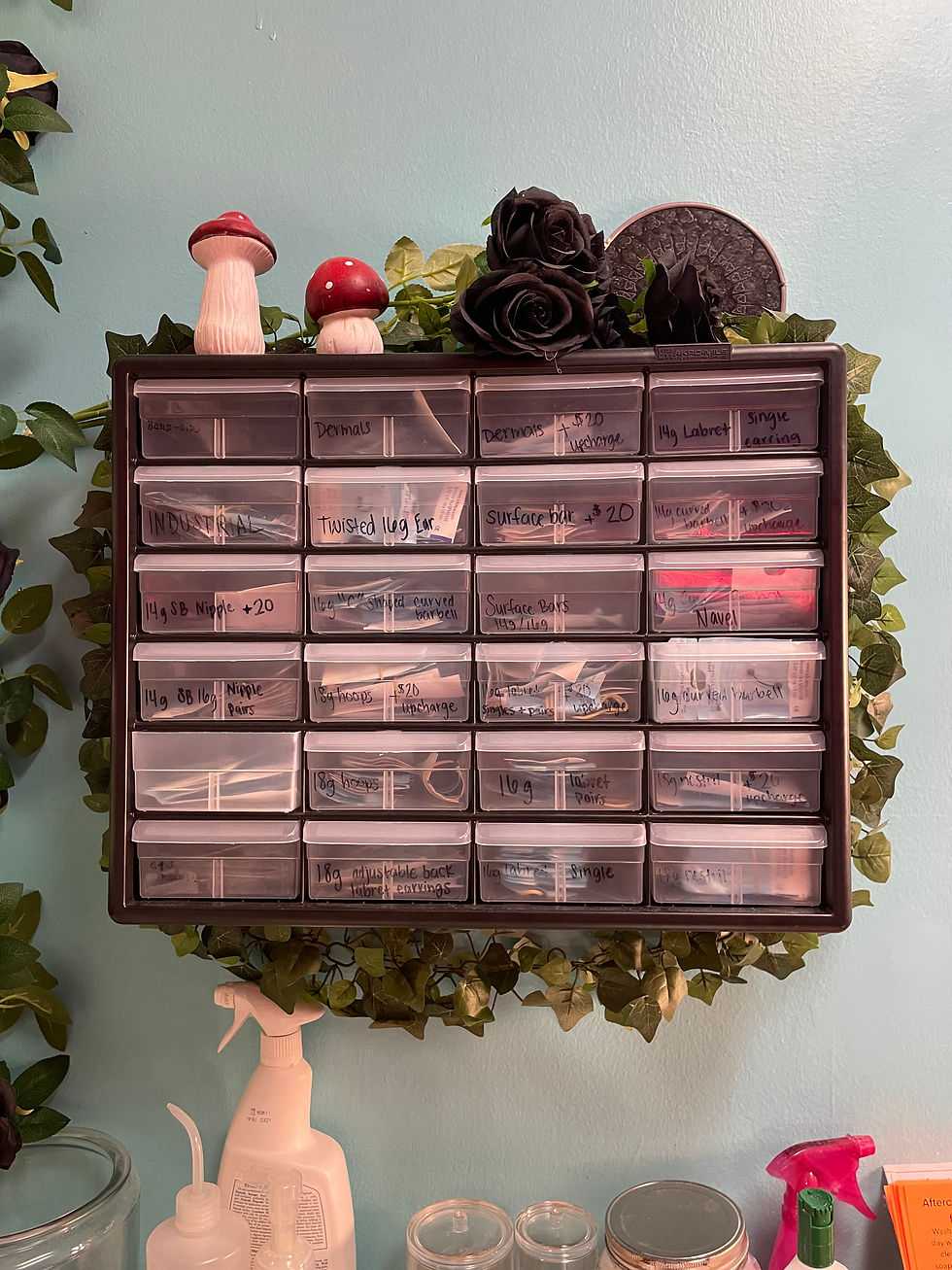 preview of autoclaved jewelry selections display case
