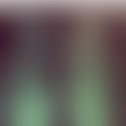 העצמת הדור הבא דרך יזמות חברתית