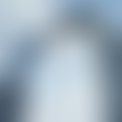 שותפויות ושיתופי פעולה - בניית גשרים להצלחה ביזמות חברתית (שיעור 11)