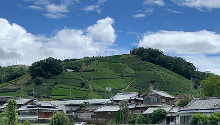 和束町
