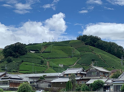和束町