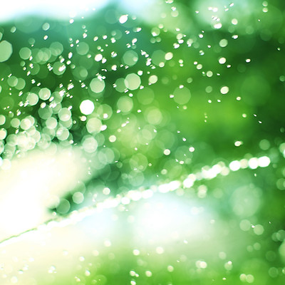 B&N Irrigation sprinkler in action