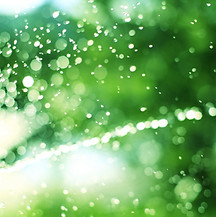 Lawn Sprinkler Abstract