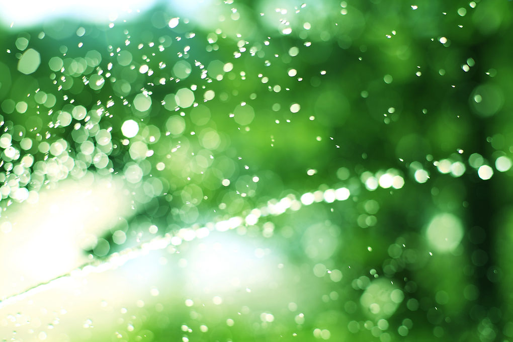 Lawn Sprinkler Abstract