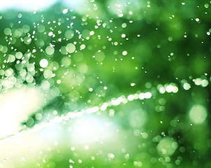 Sprinkler system checkup / sprinkler maintenance