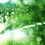 Thumbnail: The Garden