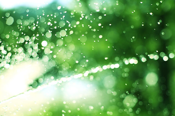 Sprinkler system