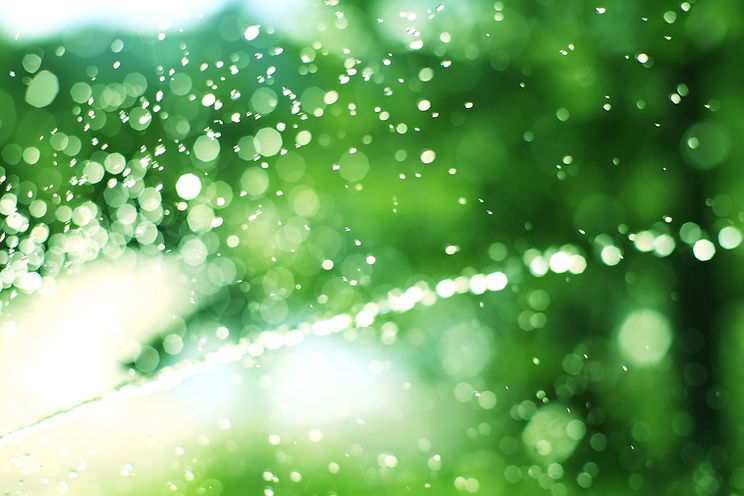 Water Droplets Sparkle