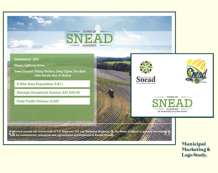 Alabama-design-graphic-design-richard-phillips-oneonta-blount-county-lifestyle-marketing-branding-identity-affordable-design-website-design-website-facade-face-portfolio-designer-graphics-social-media-facebook-instagram-tiktok-twitter-local-boutique-consulting-consultant-web-art-work-auburn-tuscaloosa-birmingham-firm-illustrator-photoshop-adobe-creative-creativity-theatre-nonprofit-logo-print-media-advertising-industry