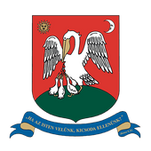 6.png