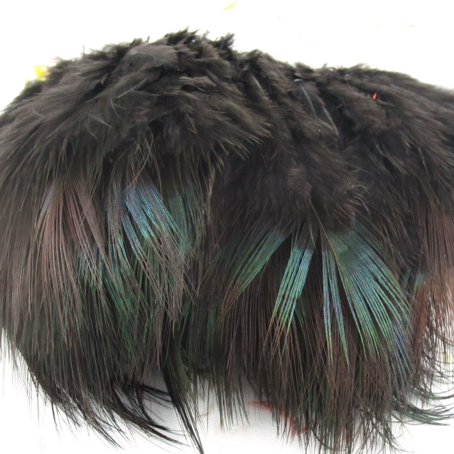 Ringneck Pheasant Rump Black RPRD-12