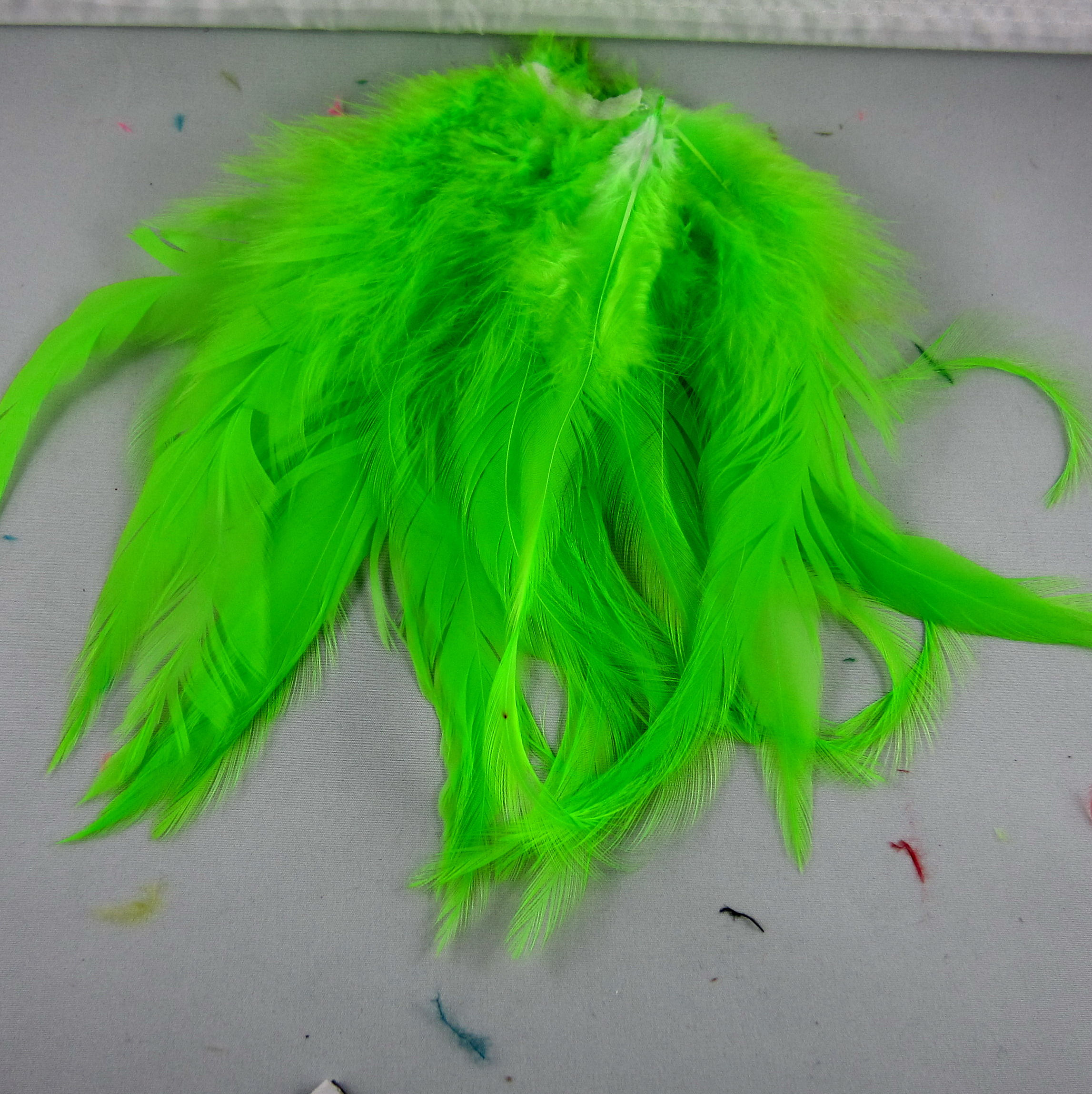 Lime Green Saddle feathers