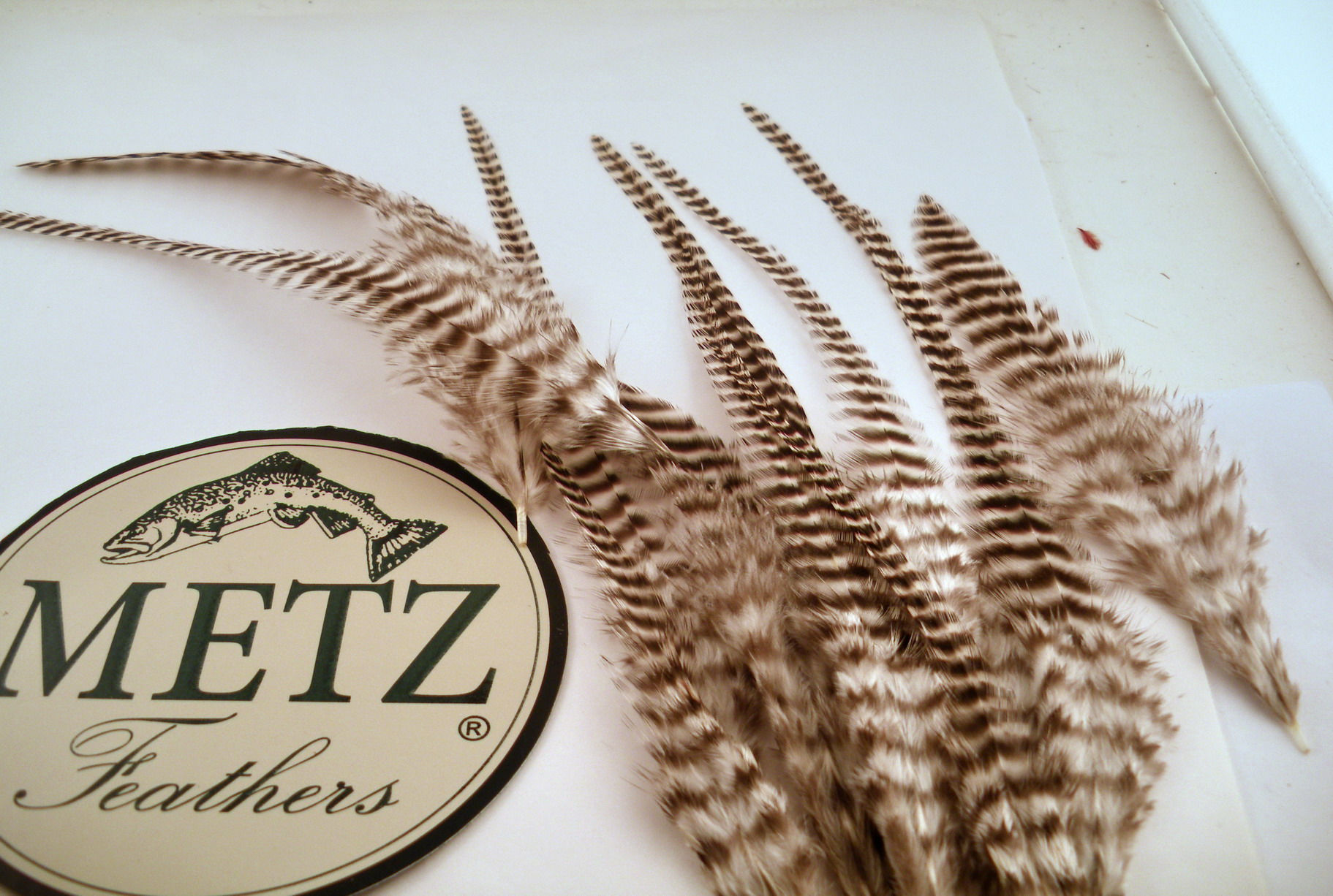 Magnum Grizzly Thick 6 to 8 inches Natural